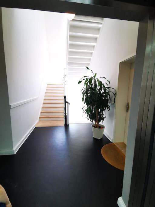 Sc 07 By Rockchair L Superhost Status L 2,5 Bedrooms Boxspringbeds Balcony Elevator Welcomes You! *